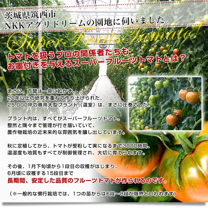  Ibaraki префектура .. прямая поставка от производителя NKK UGG li Dream super фрукты помидор 9 раз + A товар примерно 1 kilo (8 шар из 16 шар ) бесплатная доставка высота сахар раз помидор NKK помидор 