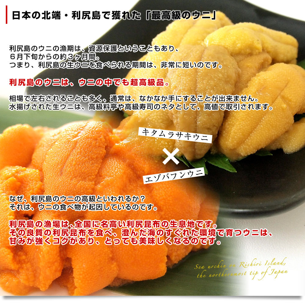  Hokkaido выгода . остров производство один ночь . оригинальный шарик ..(ezo морской еж hemicentrotus )+ оригинальный шарик ..( Kitamura saki морской еж ) 60g×2 шт. комплект бесплатная доставка морской еж ..