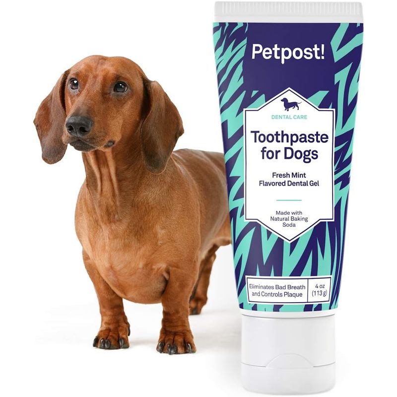 Petpost | dog for tooth paste - bad breath . nature ... make coconut oil * sodium bicarbonate base. dental gel - tooth .. dental caries - mint manner taste 