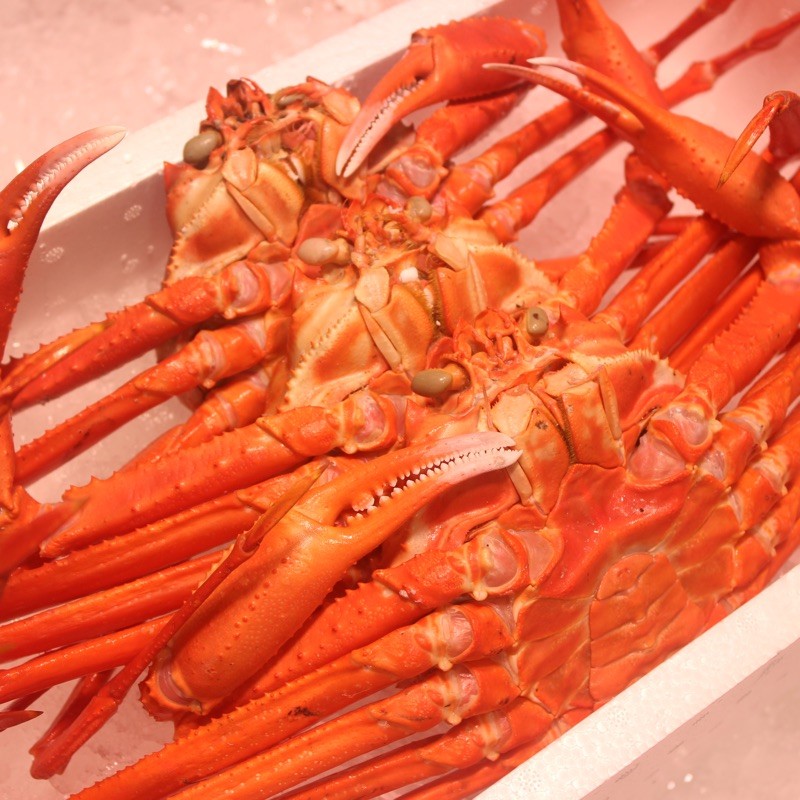 [ free shipping ] close sea production red snow crab { with translation 3~4 pcs }( red snow crab ) Boyle 1.5kg rom and rear (before and after) 