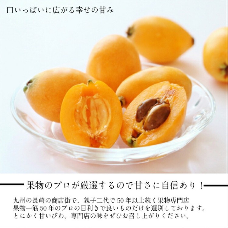  top class Nagasaki special selection . tree loquat 3L~4L large sphere 15 bead entering ........ festival . see Mai ..... Mother's Day Bon Festival gift 