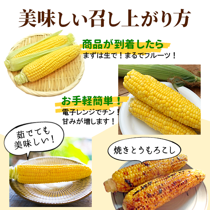  preceding sale Sunny chocolate corn Nagano prefecture 20ps.@(10ps.@×2 box ) 2L size your order :c154
