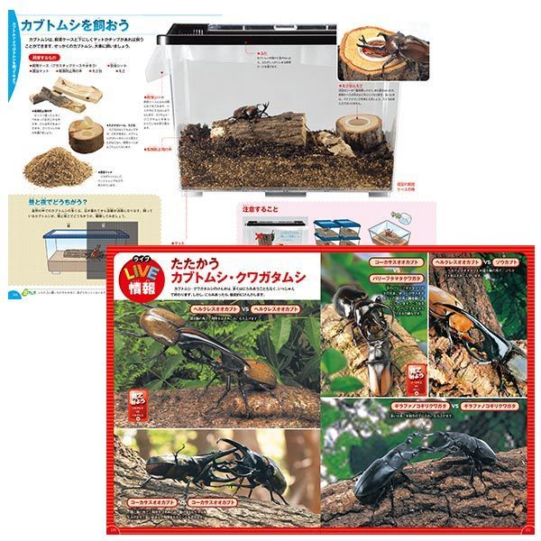  Gakken. illustrated reference book LIVE 18 rhinoceros beetle stag beetle 