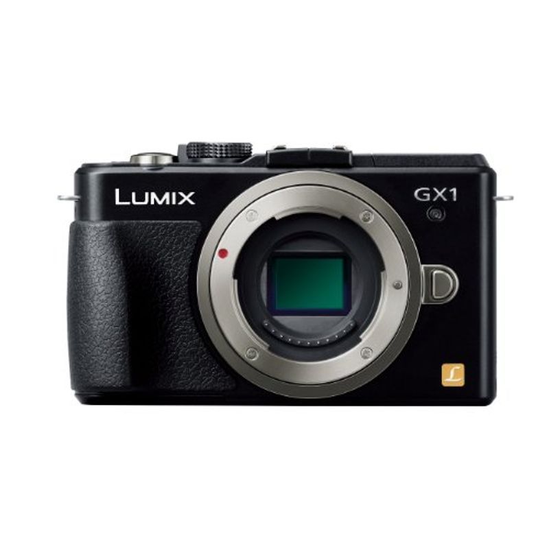 パナソニック ルミックス LUMIX GX1 DMC-GX1X-K レンズキット