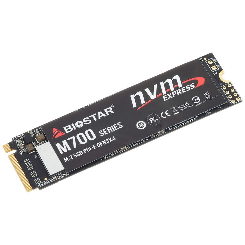 BIOSTAR M700-256GB [M700 M.2 Type2280 NVMe 256GB] 内蔵型SSD - 最