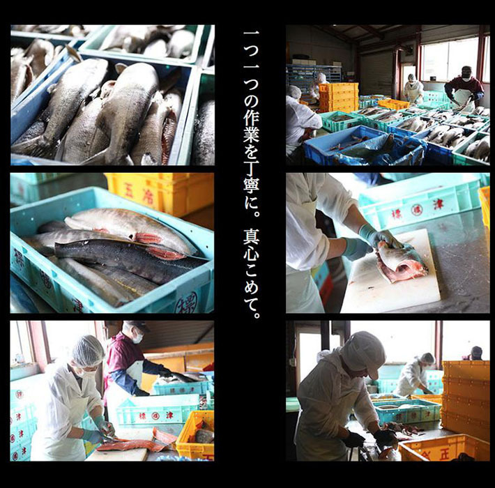  Hokkaido production no addition рыбные палочки saketoba (800g) (400g×2)* post mailing * free shipping .... keta toba root .. Tsu utali processing center profit talent santyoku