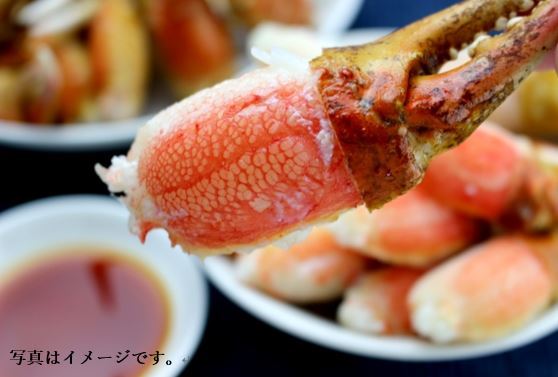 カニ爪 （ズワイ） 700g 26/30 3L 解凍してそのまま フライ バーベキューの商品画像