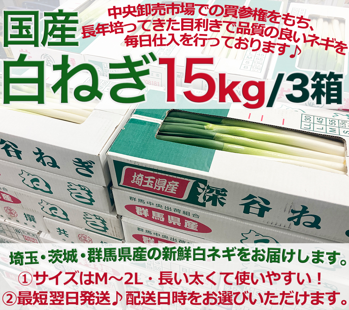  местного производства длина лук порей примерно 15kg(5kg×3 коробка )M~2L размер Kanto район производство земля тщательно отобранный белый лук-батун свежий . futoshi . длина . легкий в использовании размер белый лук-батун еда и напитки магазин для бизнеса длина . массовая закупка . выгода осмотр товар отправка 