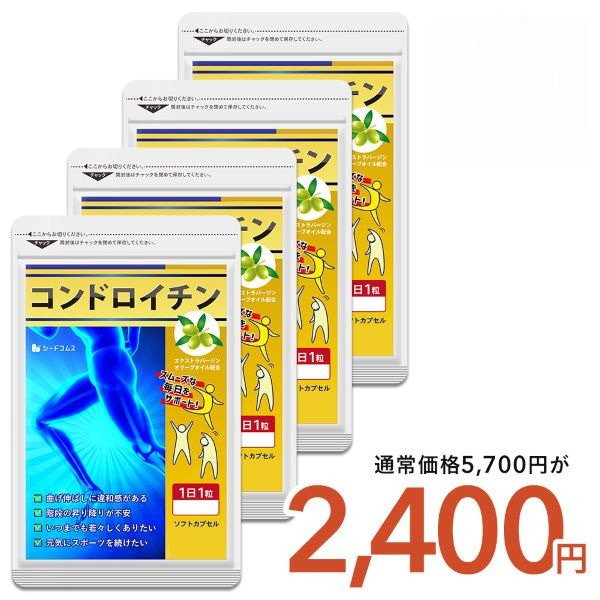 エフ琉球 コンドロイチン BIGサイズ 300mg 360粒入 約1年分 × 1個の商品画像