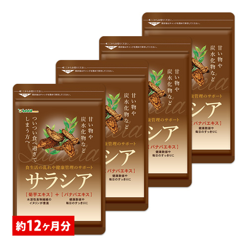 エフ琉球 サラシア BIGサイズ 300mg 720粒入 約1年分 × 1個の商品画像