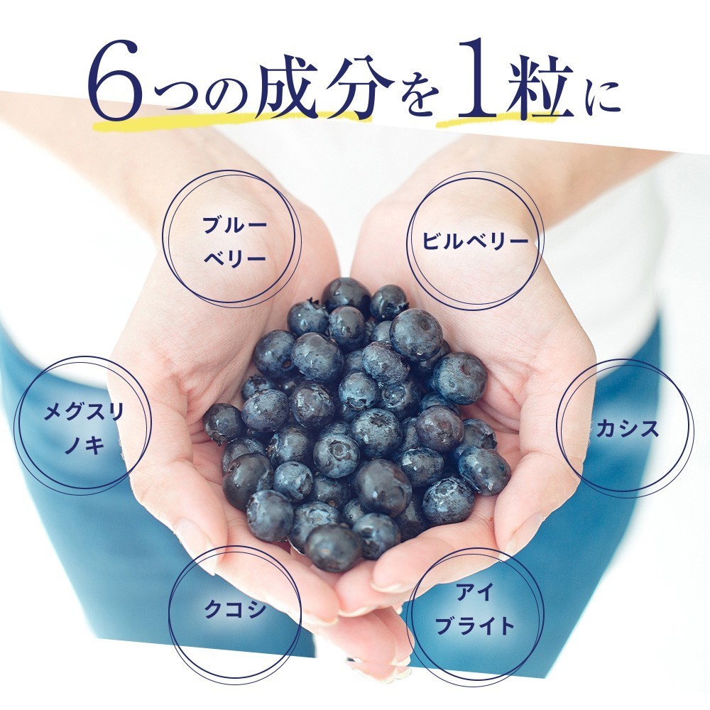  high capacity SALE*2,024 jpy supplement supplement blueberry approximately 12 months minute Anne to cyanin Bill Berry 