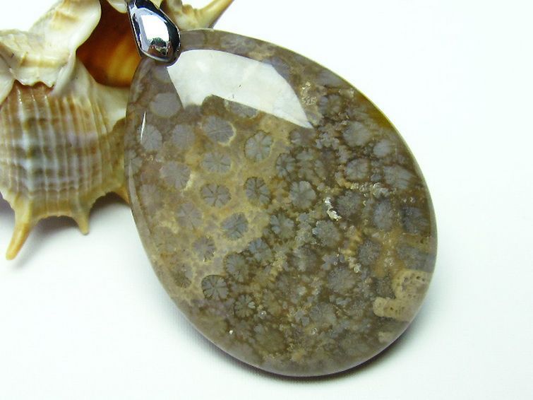 フォッシルコーラル ペンダント  化石珊瑚[T155-1121] 3枚目