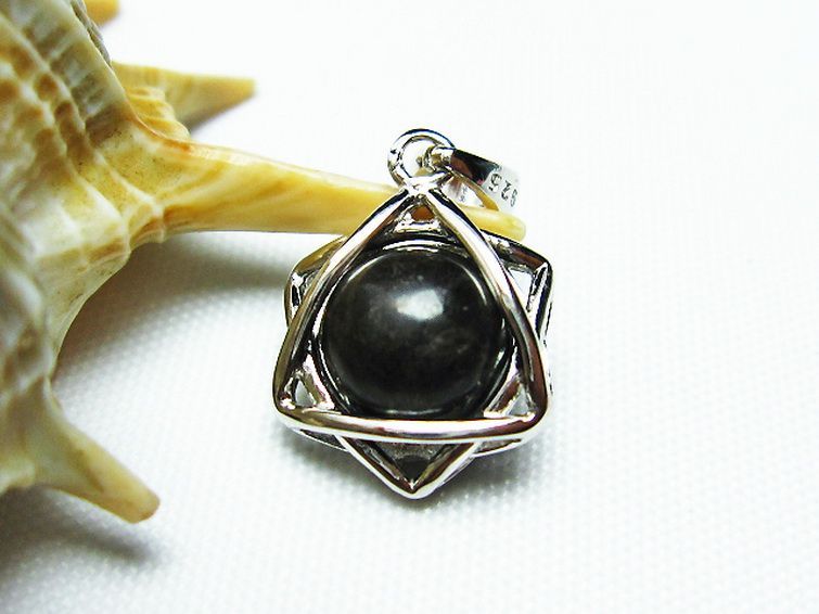 コンドライト「サハラNWA869隕石」 ペンダント [T298-402] 1枚目