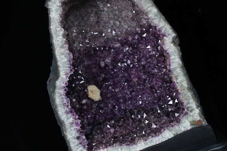 ☆ご予約品 ご注文から3ヵ月後の発送予定 ty☆ 85Kg ブラジル産