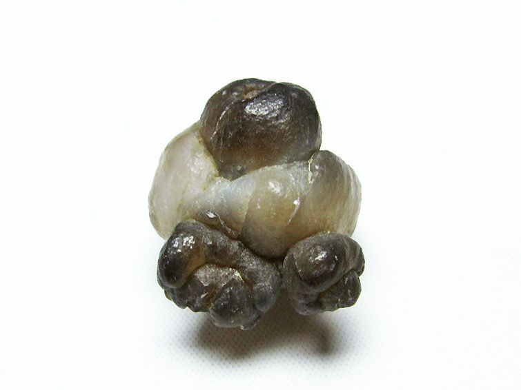 カルセドニーノジュール(球状玉髄) モロッコ産 ツーソン展示会品[T742-379] 1枚目