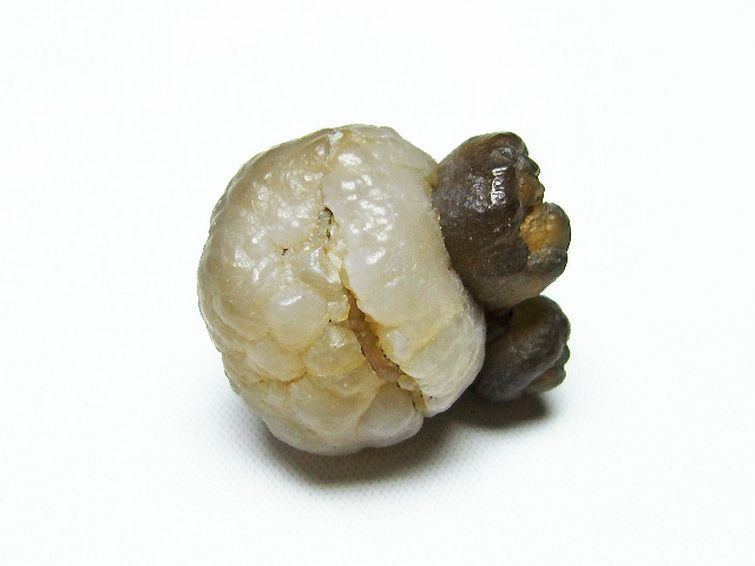 カルセドニーノジュール(球状玉髄) モロッコ産 ツーソン展示会品[T742-379] 3枚目