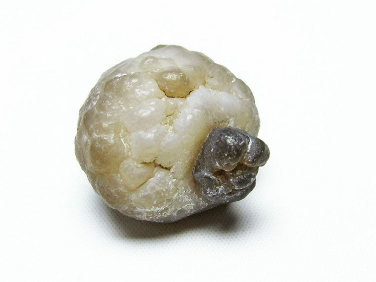 カルセドニーノジュール(球状玉髄) モロッコ産 ツーソン展示会品[T742-382] 1枚目