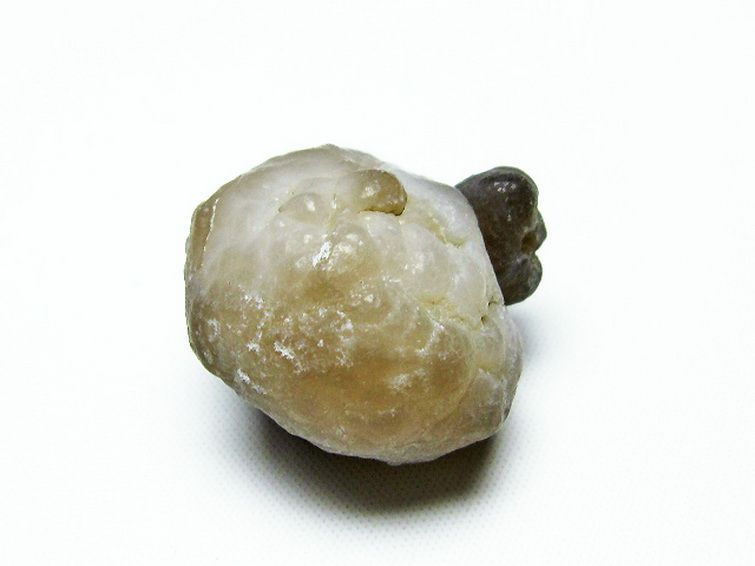 カルセドニーノジュール(球状玉髄) モロッコ産 ツーソン展示会品[T742-382] 2枚目