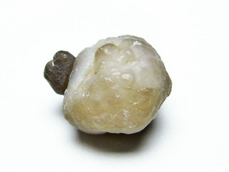 カルセドニーノジュール(球状玉髄) モロッコ産 ツーソン展示会品[T742-382] 3枚目