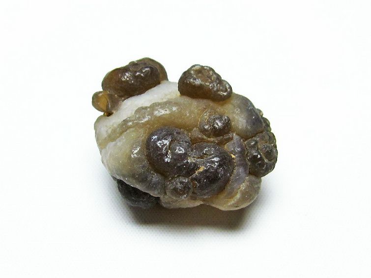 カルセドニーノジュール(球状玉髄) モロッコ産 ツーソン展示会品[T742-414] 1枚目