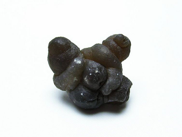 カルセドニーノジュール(球状玉髄) モロッコ産 ツーソン展示会品[T742-560] 1枚目