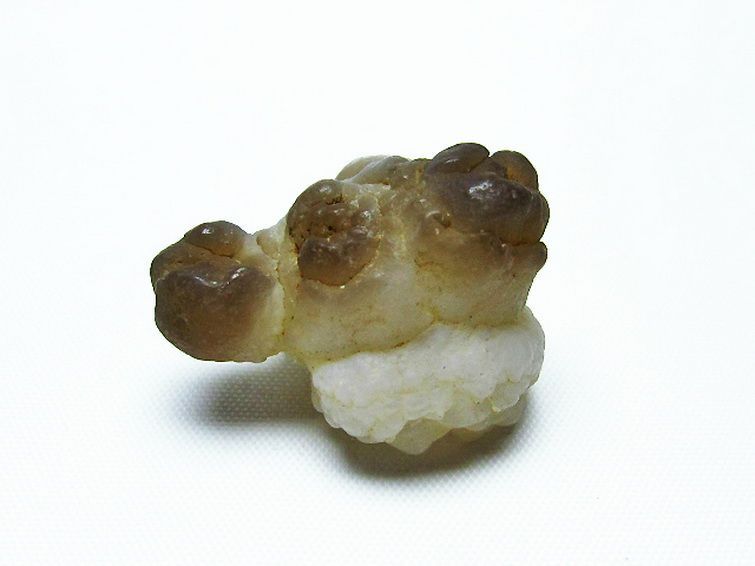 カルセドニーノジュール(球状玉髄) モロッコ産 ツーソン展示会品[T742-565] 1枚目