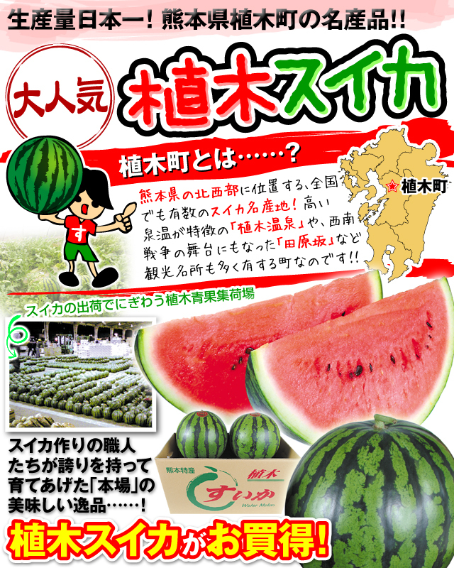 su..1 шар растение. ... Kumamoto производство бесплатная доставка еда 
