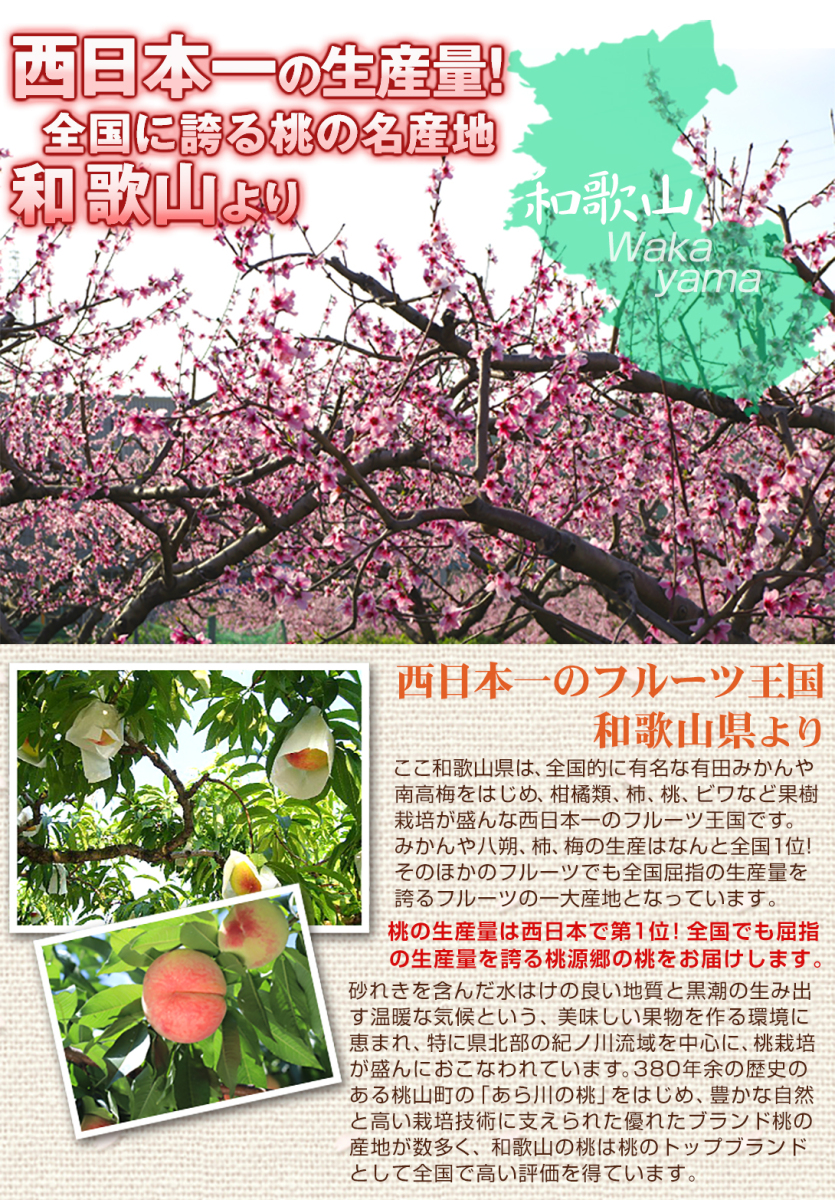 mo. approximately 2kg.. white .* white peach Wakayama production free shipping food 