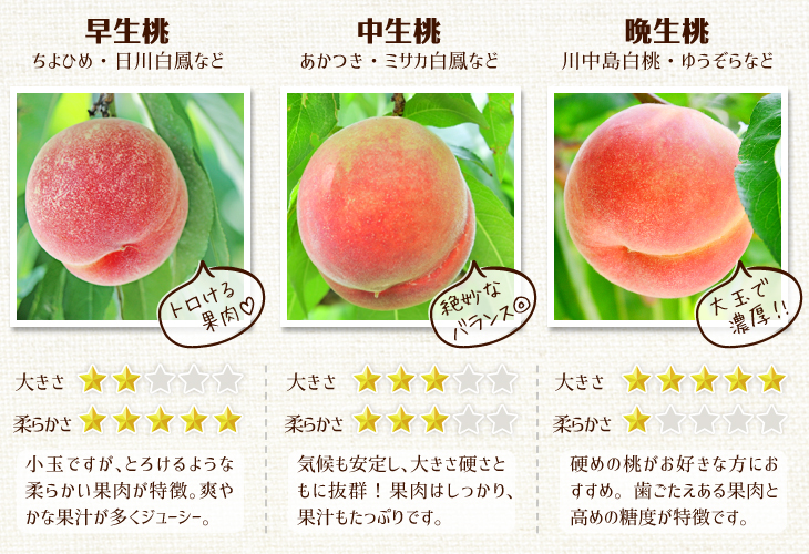 mo.1.5kg pipe blow. peach Yamanashi production free shipping food 