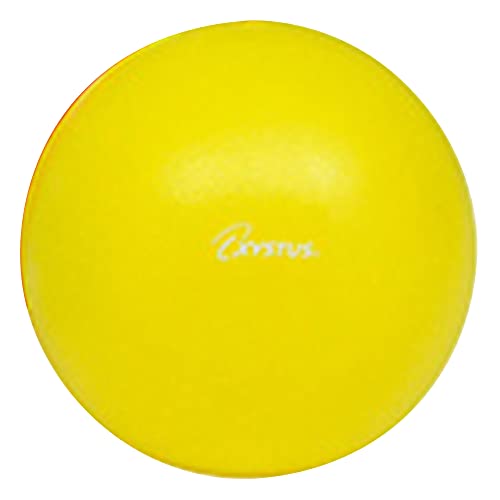 TOEI LIGHT(to-ei свет ) XYSTUS(ji старт s) пилатес мяч 200( желтый ) диаметр 20cm H9345Y