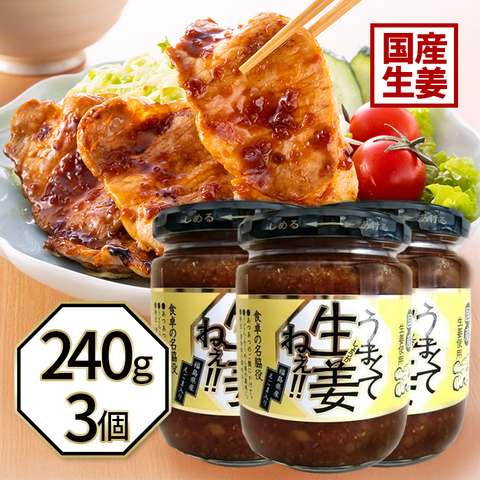 吾妻食品 うまくて生姜ねぇ!! 240g×3個の商品画像