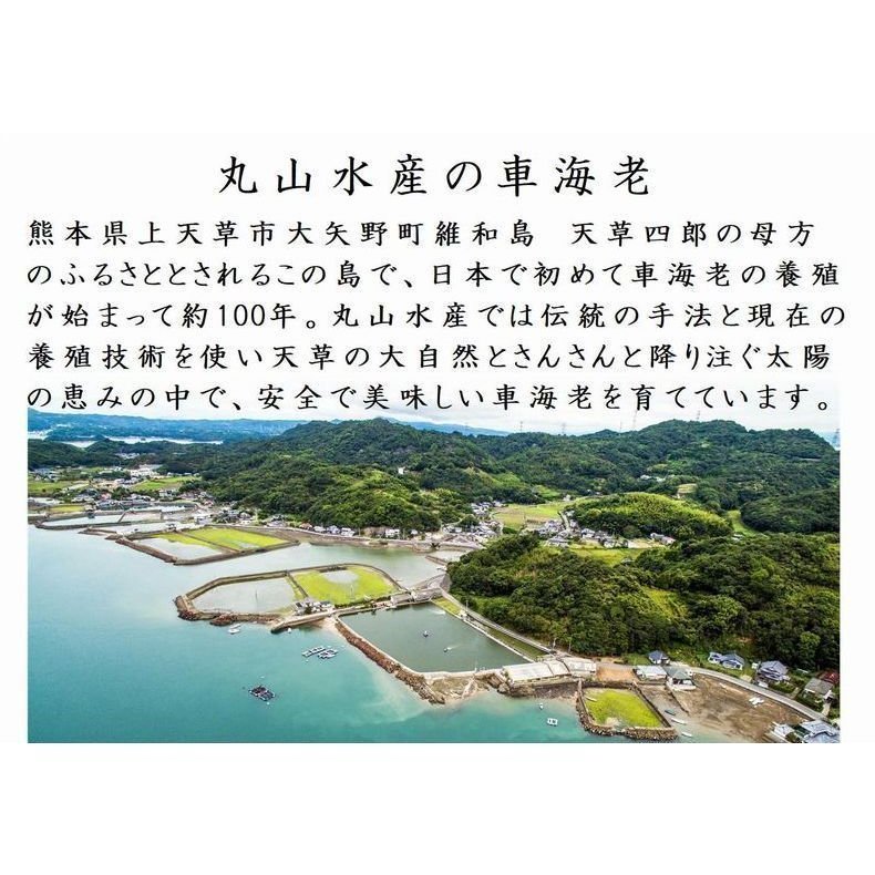  Kumamoto небо . производство машина море .. sashimi для ..700g(23 из 28 хвост передний и задний (до и после) ) круг ландшафт производство подарок по случаю конца года .. товар подарок 