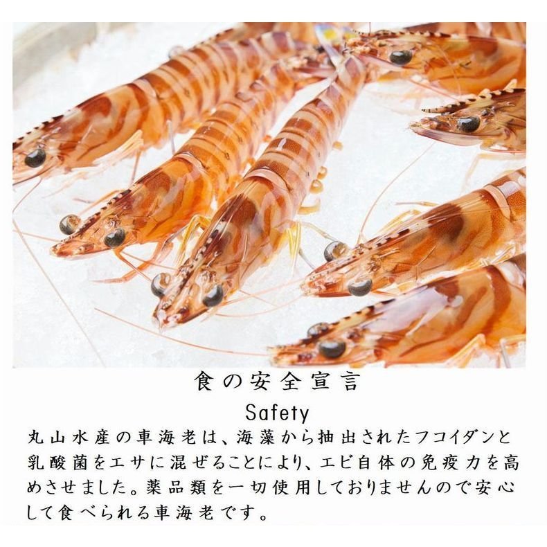  Kumamoto небо . производство машина море .. sashimi для ..[ очень большой ]1kg(23~29 хвост передний и задний (до и после) ) круг ландшафт производство подарок по случаю конца года .. товар подарок 