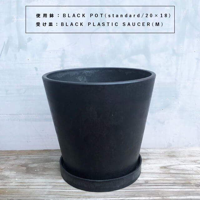 BLACK PLASTIC SAUCER[SIZE:M]16cm черный pot поддонник блюдце модный симпатичный marvista greenship
