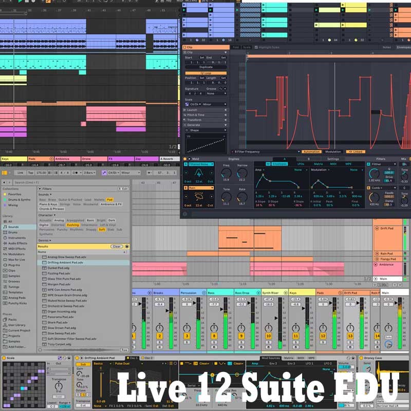 ableton Live 12 Suite EDU red temik version ( online delivery of goods )( payment on delivery un- possible )