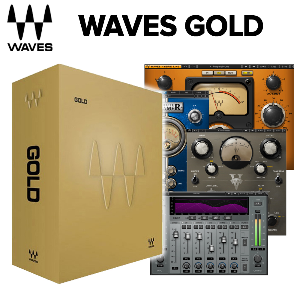 [ limited amount special price ] WAVES wave sGold Gold band ru