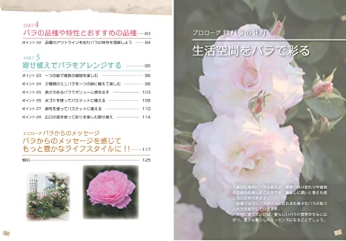 [ новый товар ]*P5 раз *(meitsu) впервые .. горшок роза .. person. основы . понимать книга@ горшок . роза . красивый .... отметка (kotsu. понимать книга@!)