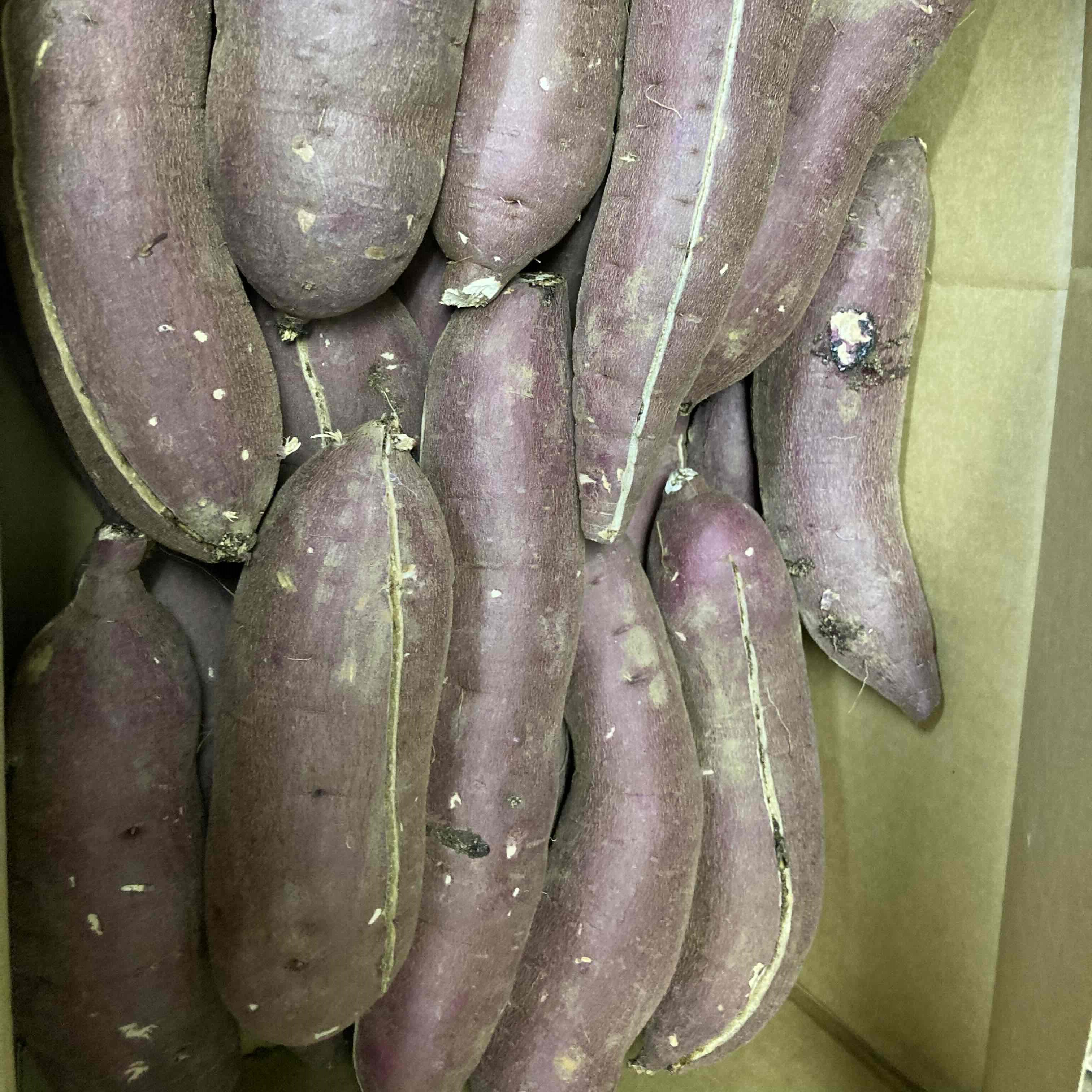  Ibaraki production with translation .. sweet potato 5kg B goods . attaching size is designation is not possible.