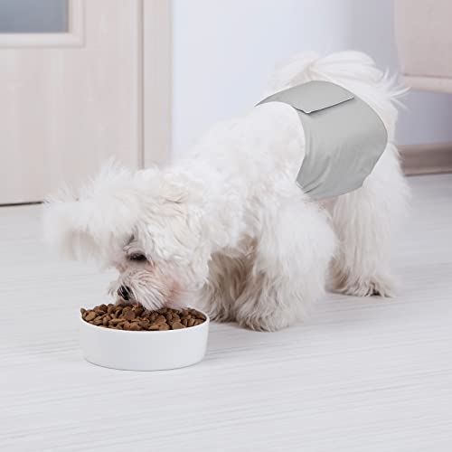 Avont dog for manner belt 3 sheets male laundry possible repeated use possibility height suction . waste to size adjustment possibility 