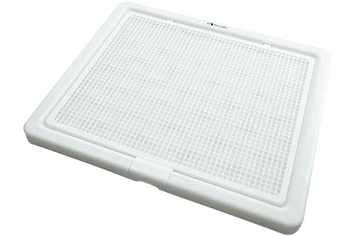 イヌラボ トイレトレー XL（ホワイト）の商品画像