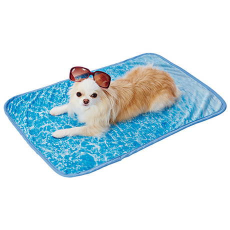 | outlet | dog cat for blanket .... largish sa market Ocean regular [ stock limit ]