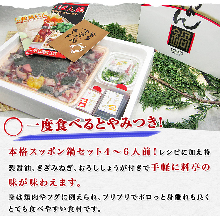  softshell turtle spon saucepan nabe pan Hakata softshell turtle saucepan set gift spon saucepan freezing flight gift 