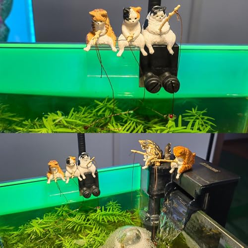 YBGGJO fishing cat 5 piece set cat figure . cat fishing ornament resin real Mini cat fishing .. Japanese style . shide ornament atmosphere making aquarium fish. aquarium garden miscellaneous goods office 