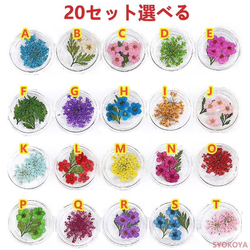 [48h limitation 330-30 jpy ]20 set is possible to choose pressed flower set flower nails storage case go in variety - kind Christmas hand made dry flower DIY resin parts 