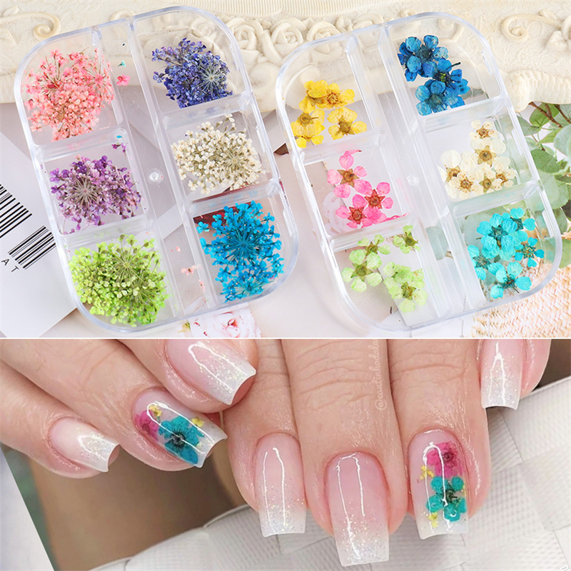 [48h limitation 420-200 jpy ]2 set is possible to choose . charcoal seems to be rental mi saw dry flower petal ... various Mix flower nails nail art pressed flower nails . go in material for flower arrangement 