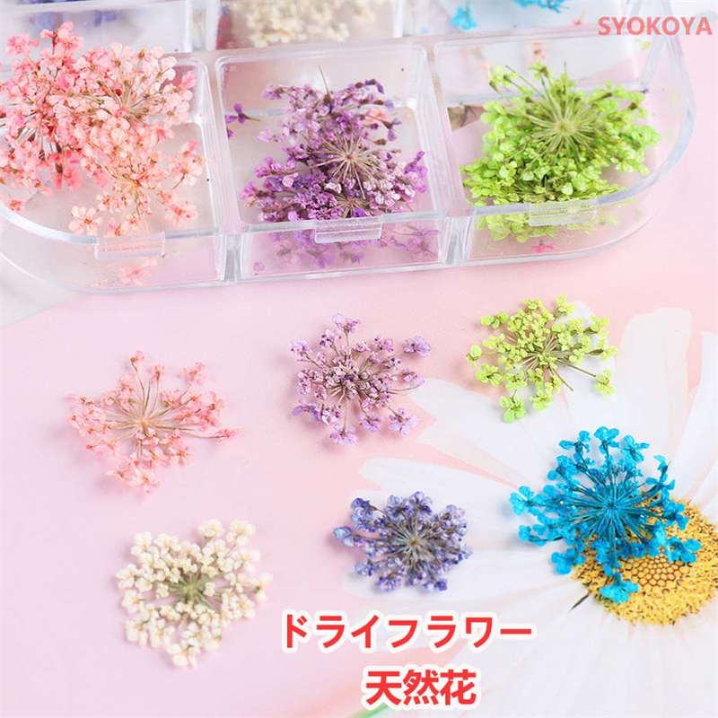 [48h limitation 420-200 jpy ]2 set is possible to choose . charcoal seems to be rental mi saw dry flower petal ... various Mix flower nails nail art pressed flower nails . go in material for flower arrangement 