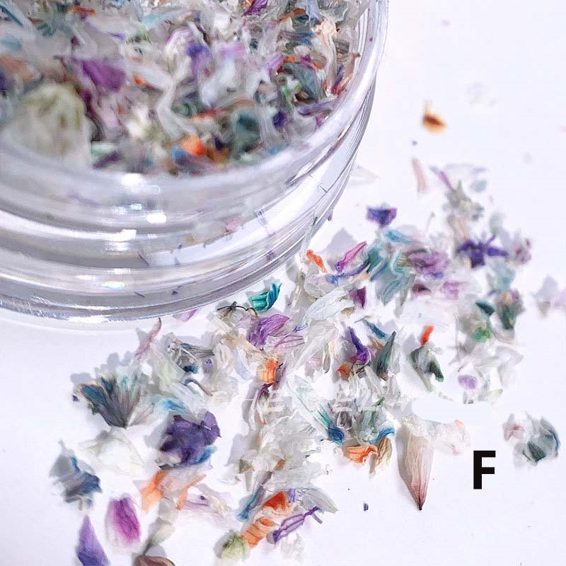 [48h limitation 588-288 jpy ]6 set is possible to choose dry flower petal ... various Mix flower nails nail art pressed flower nails resin nails . go in material for flower arrangement case go in 