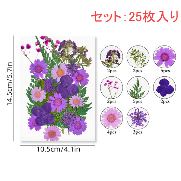 [48h limitation 999-555 jpy ] pressed flower set immediate payment hand made deco parts pressed flower art dry flower DIY cosmetics handicrafts parts Blizzard flower material for flower arrangement resin 