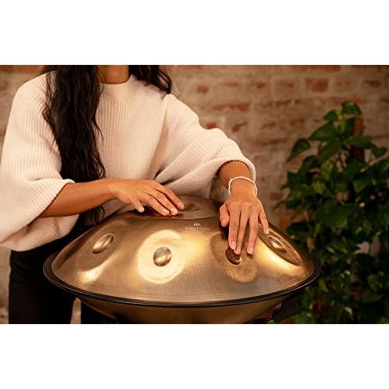  musical instruments MEINL my flannel Sonic Energy Collection hand bread Sensory Handpan 21.5 -inch 10 tone 