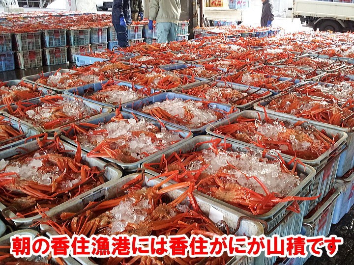 .. production ......2~3 pcs go in approximately 1.5kg free shipping red snow crab ...... red snow crab ..gani crab crab . your order direct delivery from producing area gift 